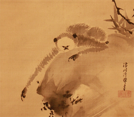 狩野勝川院雅信 Tadanobu Kano 『猿猴図』【掛軸 Hanging scroll
