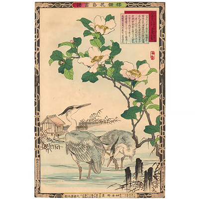 楳嶺 「楳嶺花鳥画譜　山茶花　蒼鷺」