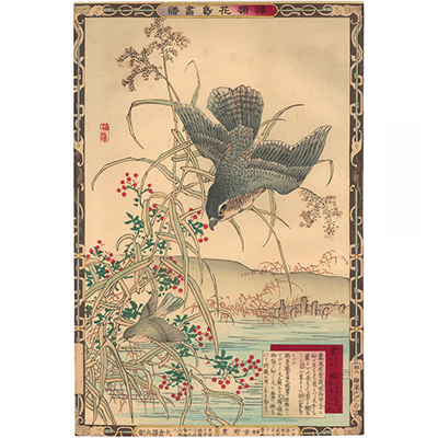 楳嶺 「楳嶺花鳥画譜　葦　鷂」