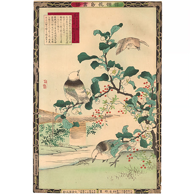 楳嶺 「楳嶺花鳥画譜　茶　鷦鷯」