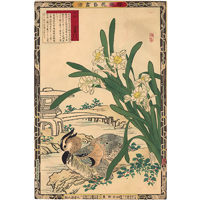 楳嶺 「楳嶺花鳥画譜　水仙　鴛鴦」
