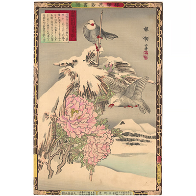 楳嶺 「楳嶺花鳥画譜　島鵯　温牡丹」