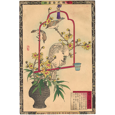 楳嶺 「楳嶺花鳥画譜　蠟梅　鸚鵡」