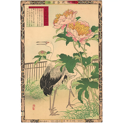 楳嶺 「楳嶺花鳥画譜　芍薬　鸛」