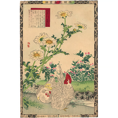 楳嶺 「楳嶺花鳥画譜　春菊　矮鶏」