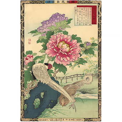 楳嶺 「楳嶺花鳥画譜　牡丹　白鷴」