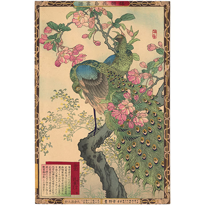 楳嶺 「楳嶺花鳥画譜　海棠　孔雀」