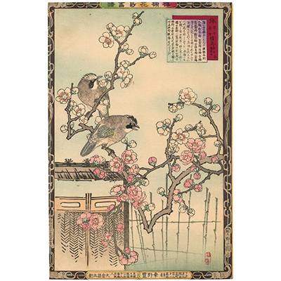 楳嶺 「楳嶺花鳥画譜　梅　橿鳥」