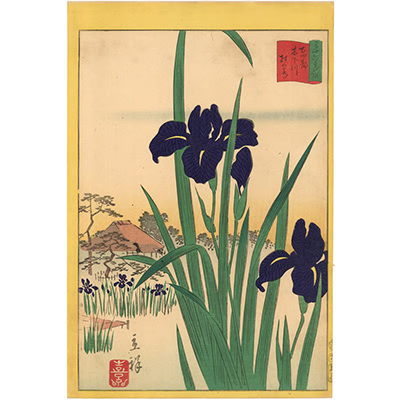 広重二代 「東京名所三十六花撰　木下川杜若」
