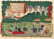 三代広重 Hiroshige�V 『大日本物産図会　甲斐国葡萄培養図』‐葡萄‐