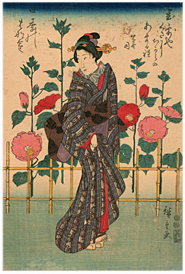 広重 Hiroshige 『四季の花園　芙蓉』