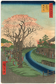 広重　Hiroshige　『名所江戸百景　玉川堤の花』